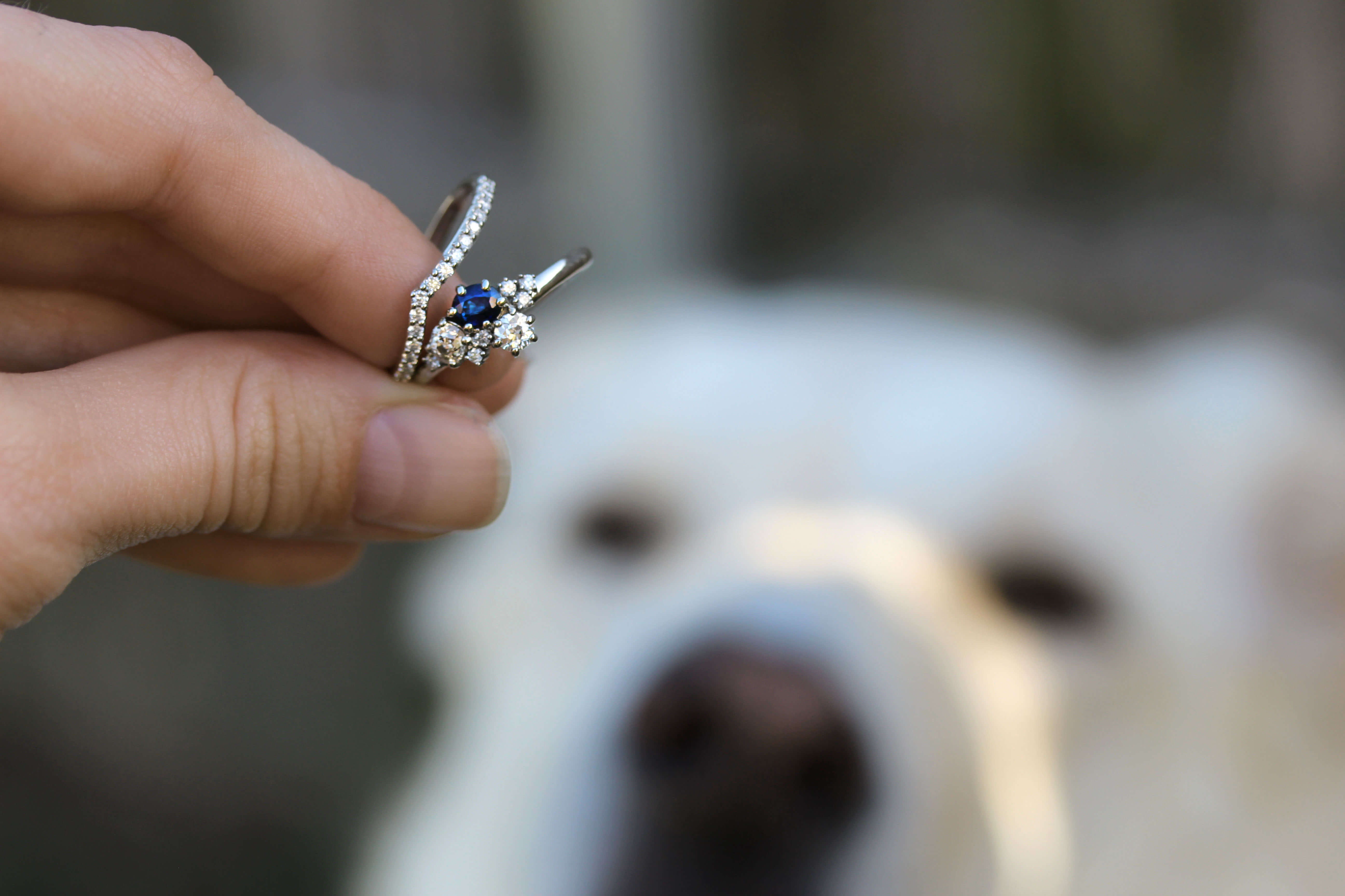 custom wedding set with dog