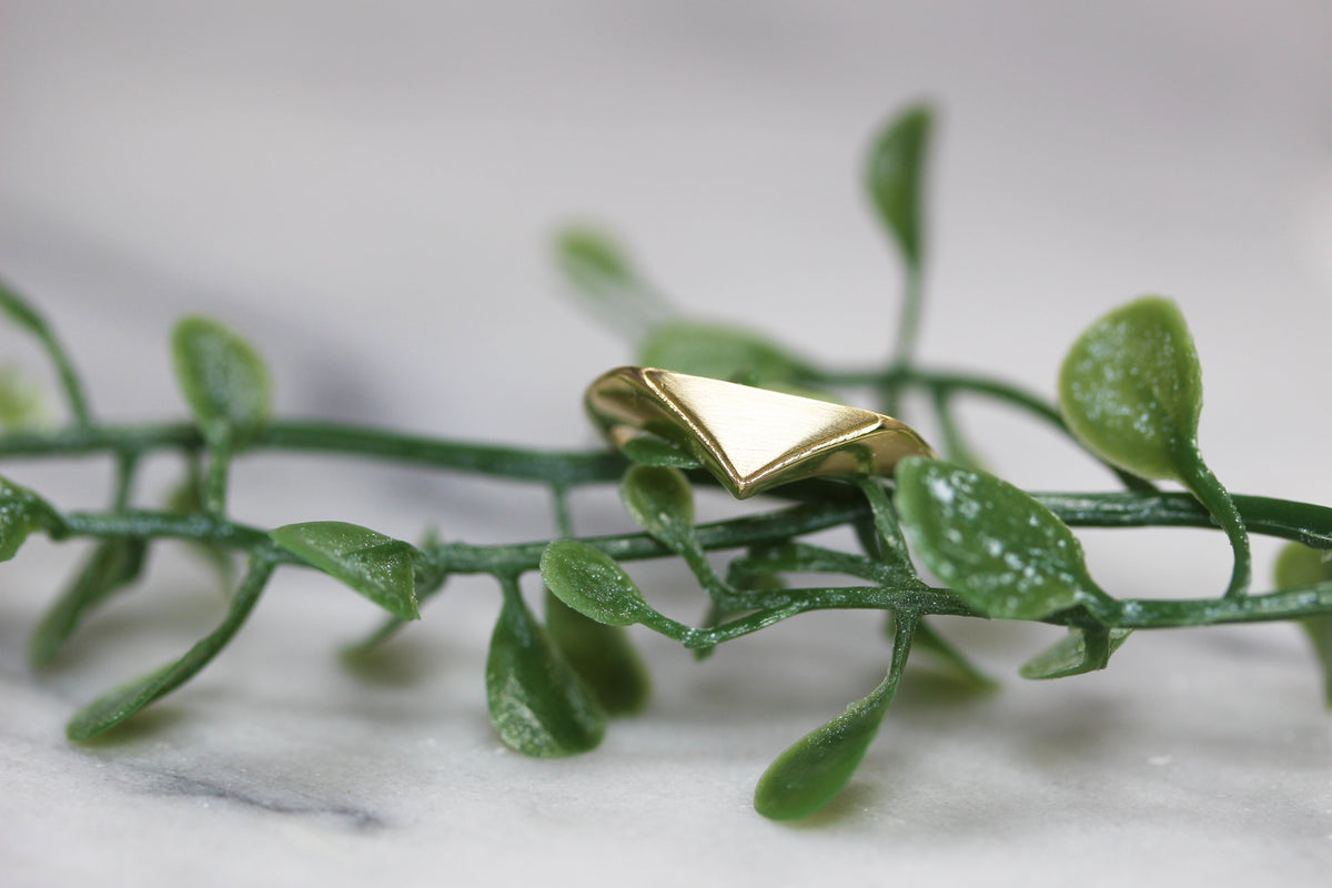 triangle signet ring on greenery