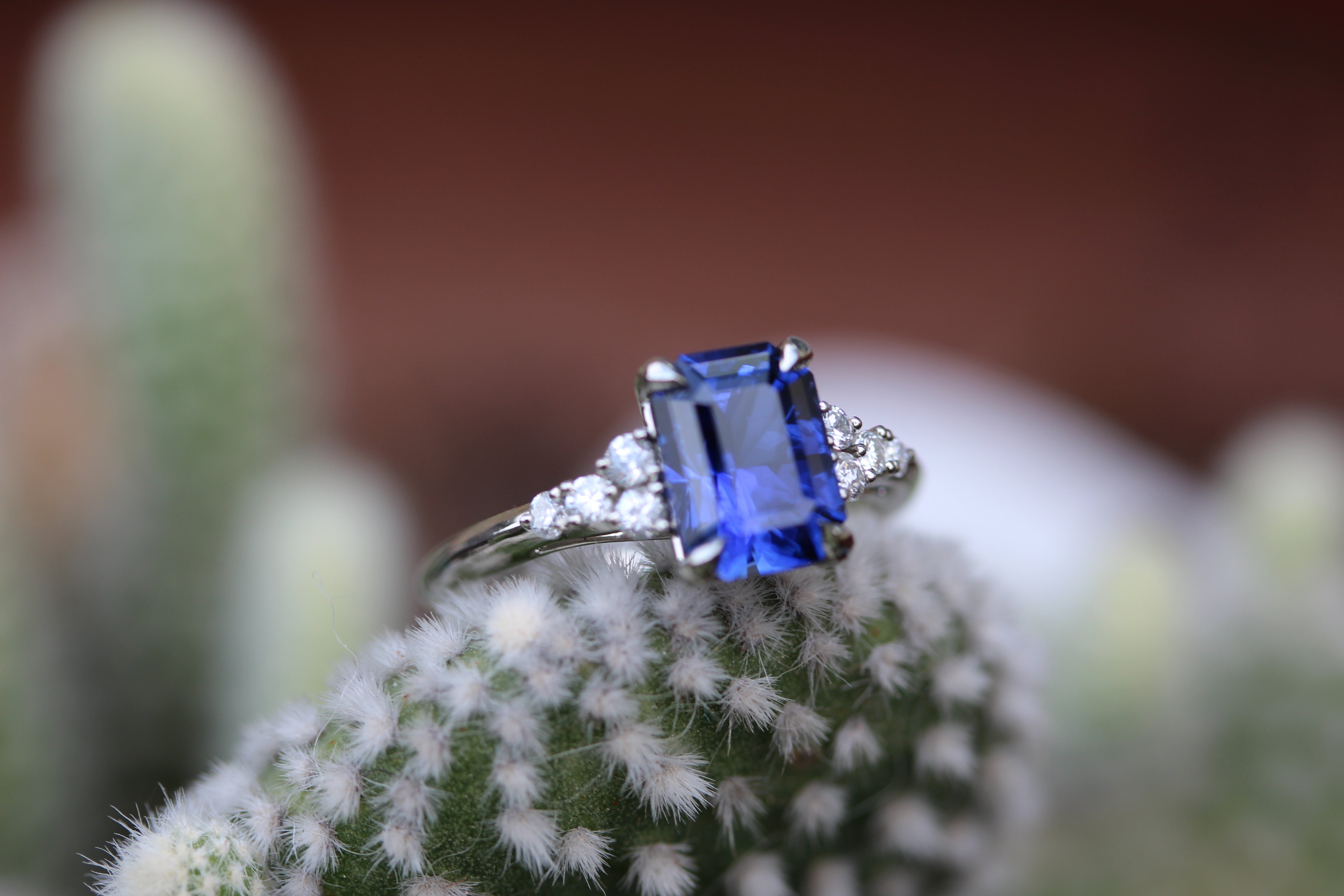 blue emerald cut and diamond engagement ring on cactus