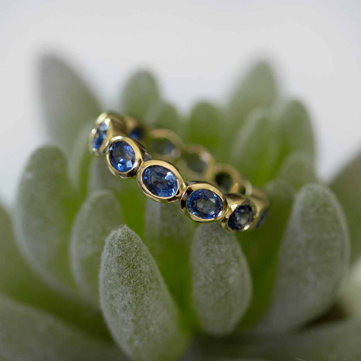 oval sapphire eternity yellow gold band on succulent