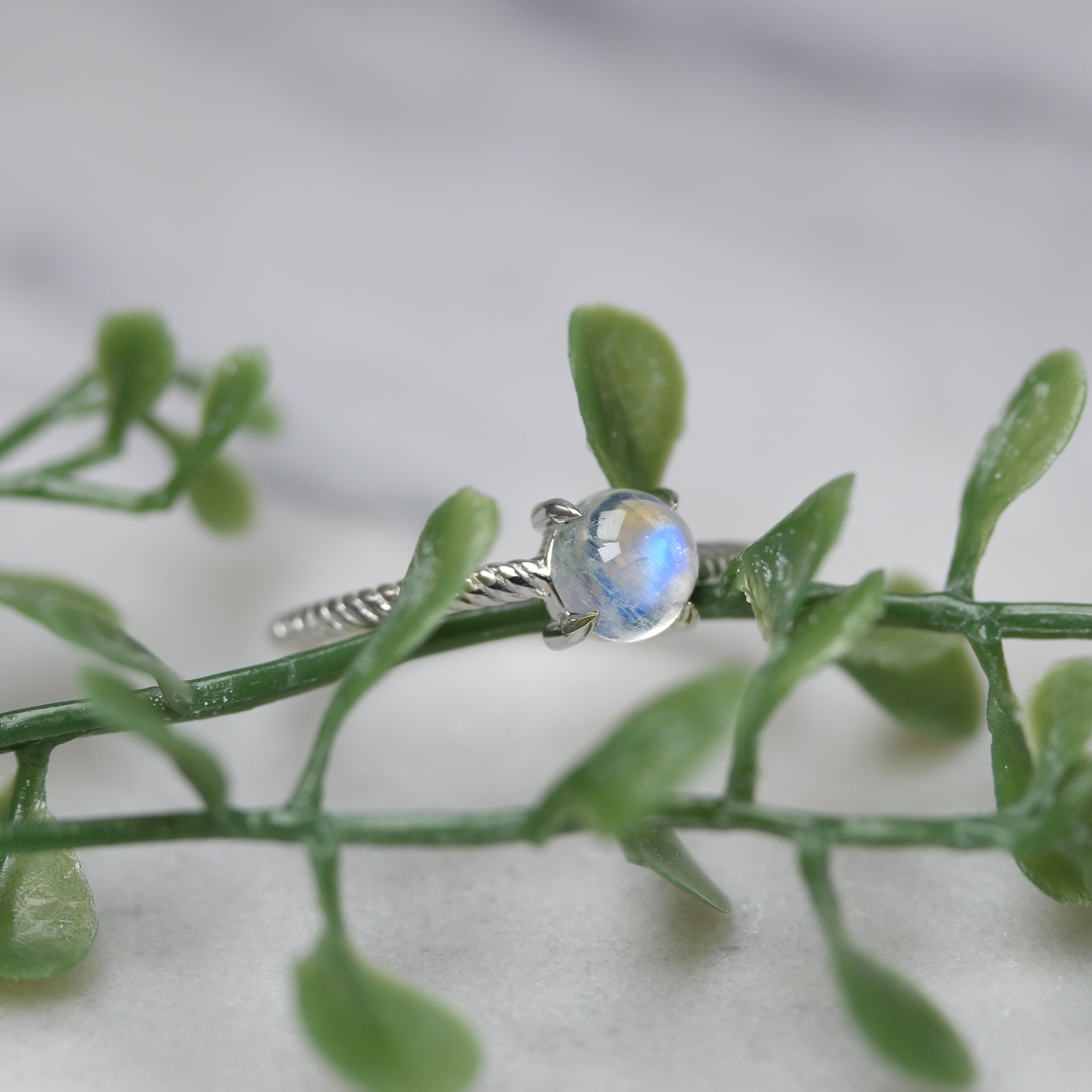 moonstone with silver rope ring on greenery